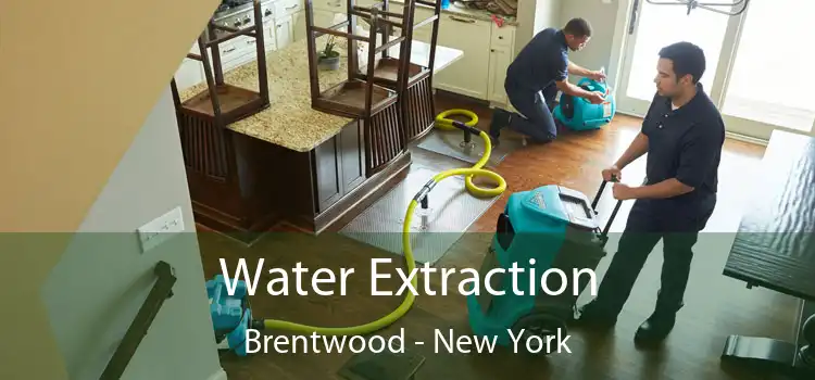 Water Extraction Brentwood - New York