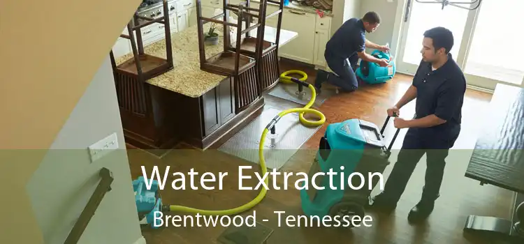 Water Extraction Brentwood - Tennessee