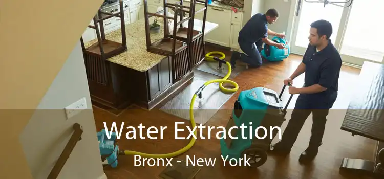 Water Extraction Bronx - New York