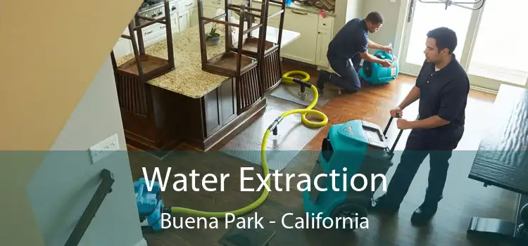 Water Extraction Buena Park - California