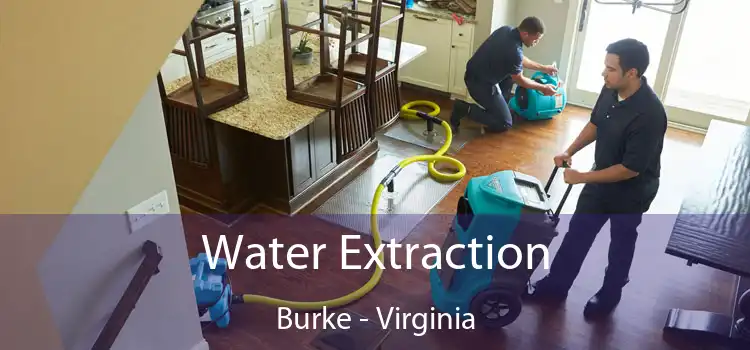 Water Extraction Burke - Virginia