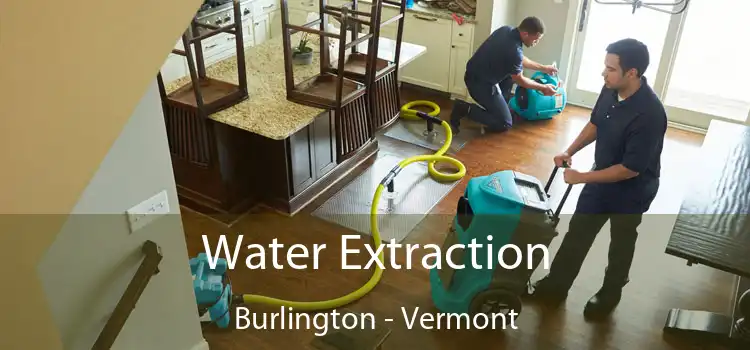 Water Extraction Burlington - Vermont