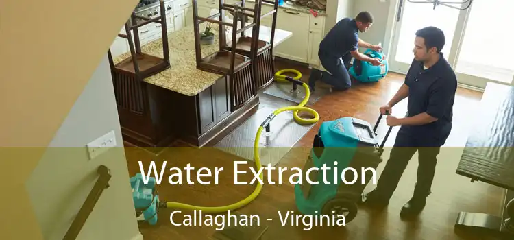 Water Extraction Callaghan - Virginia