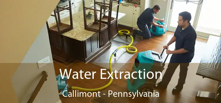 Water Extraction Callimont - Pennsylvania