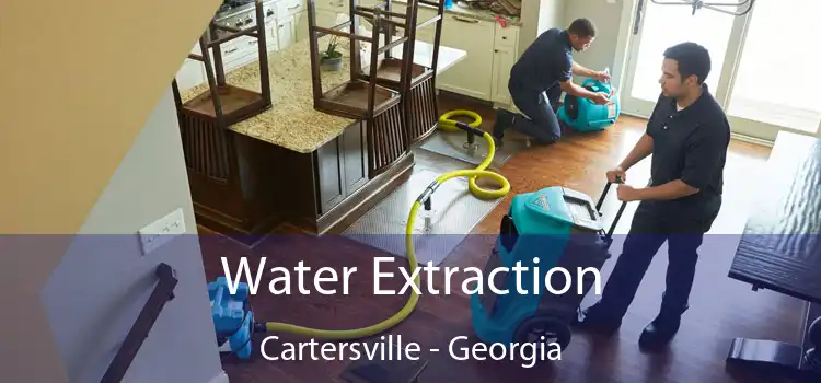 Water Extraction Cartersville - Georgia