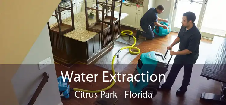 Water Extraction Citrus Park - Florida