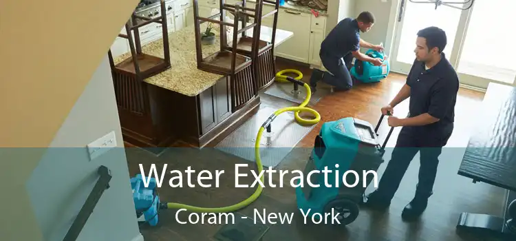 Water Extraction Coram - New York