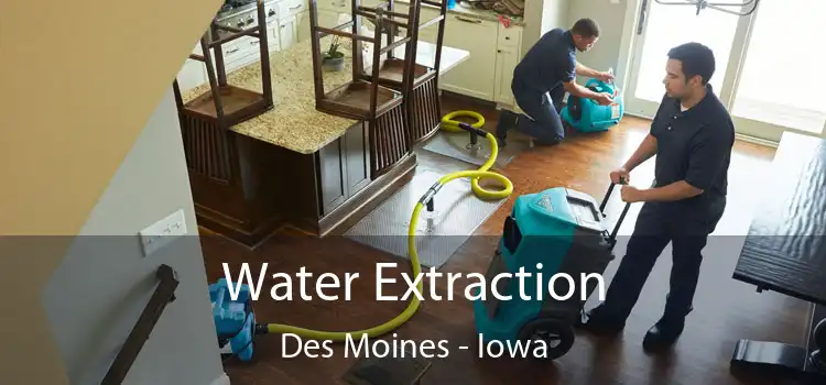 Water Extraction Des Moines - Iowa