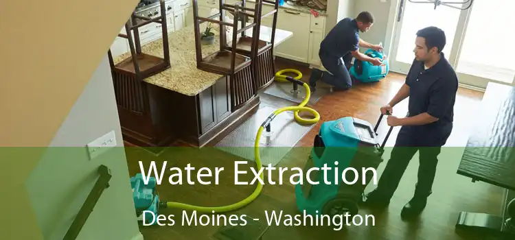 Water Extraction Des Moines - Washington