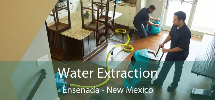 Water Extraction Ensenada - New Mexico