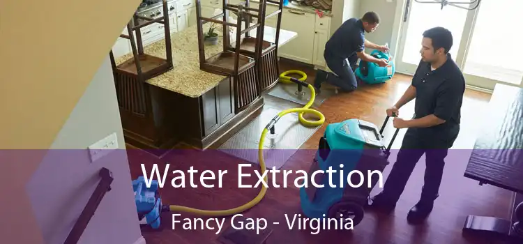 Water Extraction Fancy Gap - Virginia