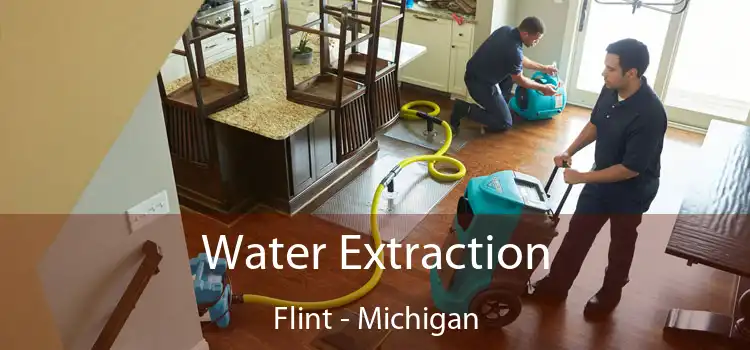 Water Extraction Flint - Michigan