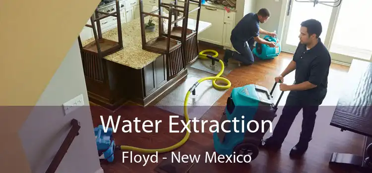 Water Extraction Floyd - New Mexico