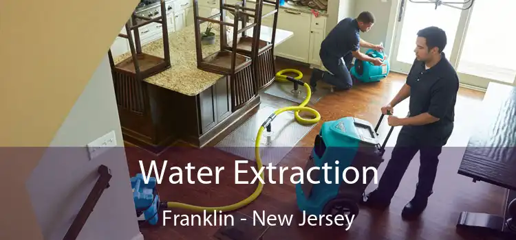 Water Extraction Franklin - New Jersey