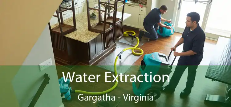 Water Extraction Gargatha - Virginia