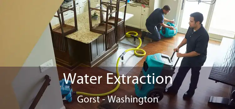 Water Extraction Gorst - Washington