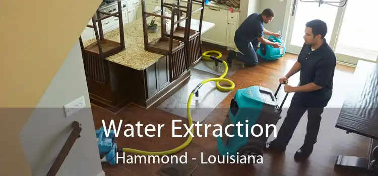 Water Extraction Hammond - Louisiana