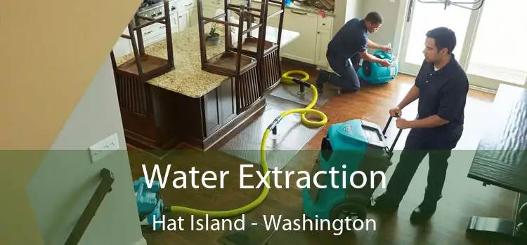 Water Extraction Hat Island - Washington