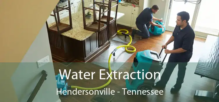 Water Extraction Hendersonville - Tennessee