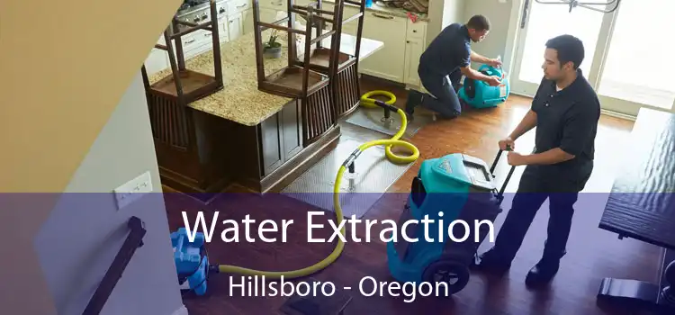 Water Extraction Hillsboro - Oregon