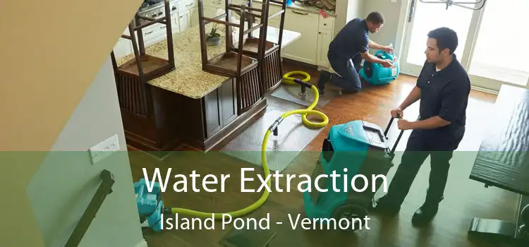 Water Extraction Island Pond - Vermont