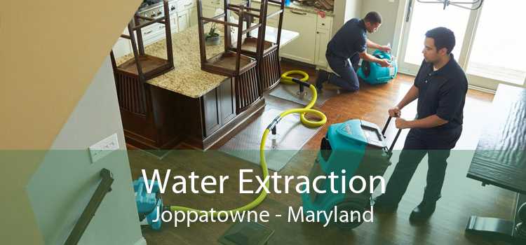 Water Extraction Joppatowne - Maryland