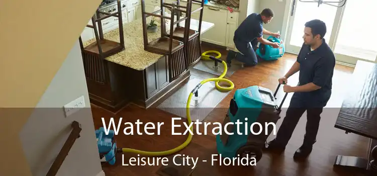 Water Extraction Leisure City - Florida