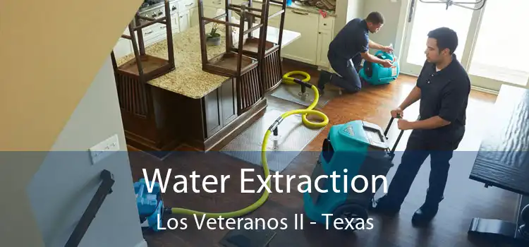 Water Extraction Los Veteranos II - Texas