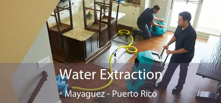 Water Extraction Mayaguez - Puerto Rico