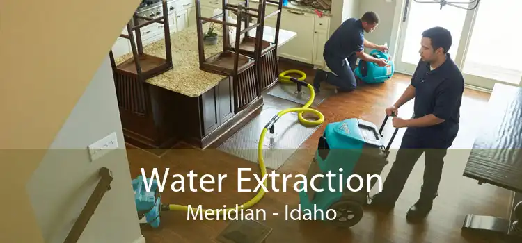Water Extraction Meridian - Idaho