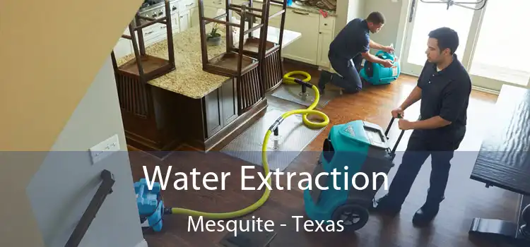 Water Extraction Mesquite - Texas