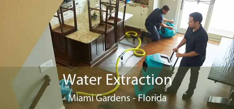 Water Extraction Miami Gardens - Florida