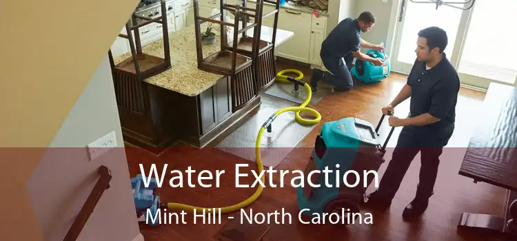 Water Extraction Mint Hill - North Carolina