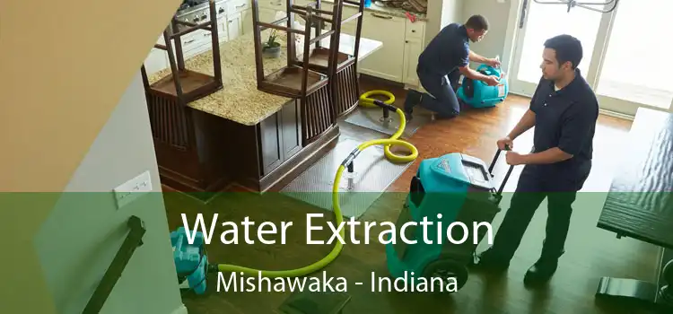 Water Extraction Mishawaka - Indiana