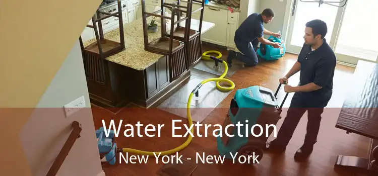 Water Extraction New York - New York