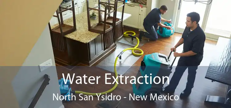 Water Extraction North San Ysidro - New Mexico