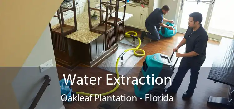 Water Extraction Oakleaf Plantation - Florida