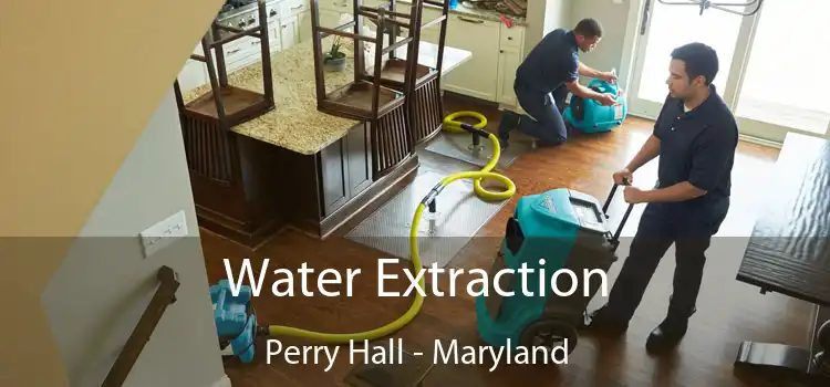 Water Extraction Perry Hall - Maryland