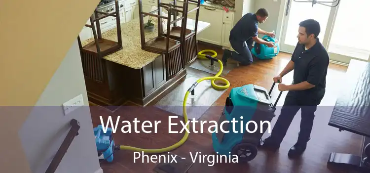 Water Extraction Phenix - Virginia