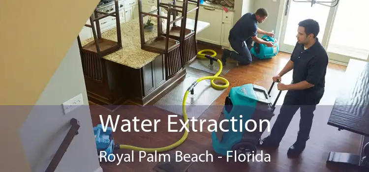 Water Extraction Royal Palm Beach - Florida