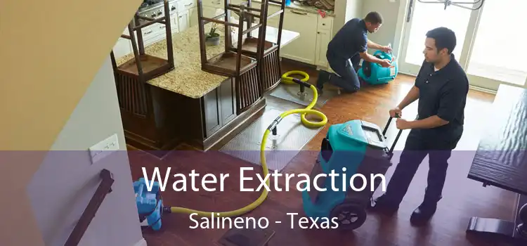 Water Extraction Salineno - Texas