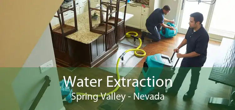 Water Extraction Spring Valley - Nevada