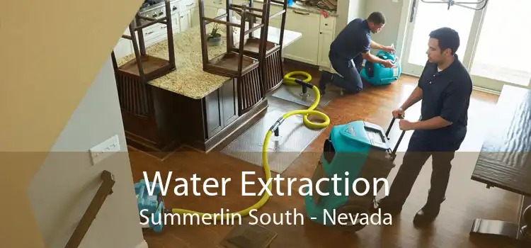 Water Extraction Summerlin South - Nevada
