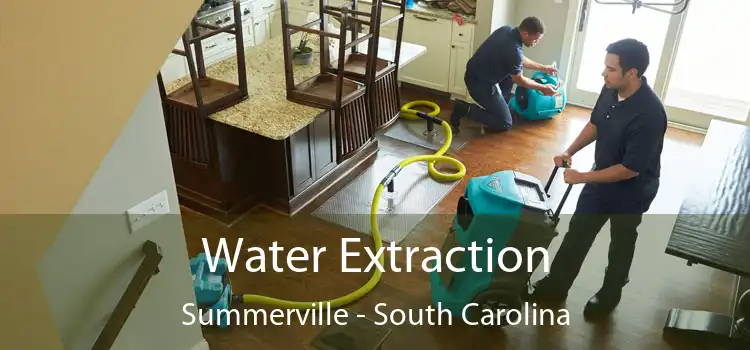 Water Extraction Summerville - South Carolina