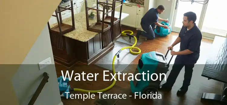 Water Extraction Temple Terrace - Florida