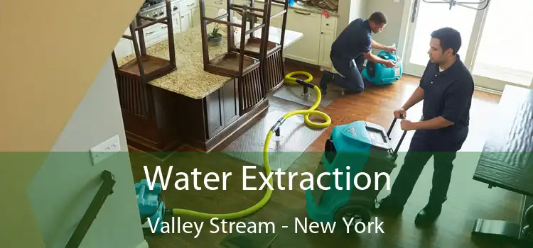 Water Extraction Valley Stream - New York