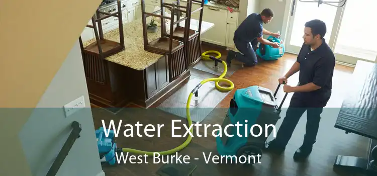 Water Extraction West Burke - Vermont