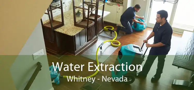 Water Extraction Whitney - Nevada