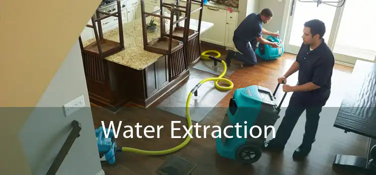 Water Extraction 